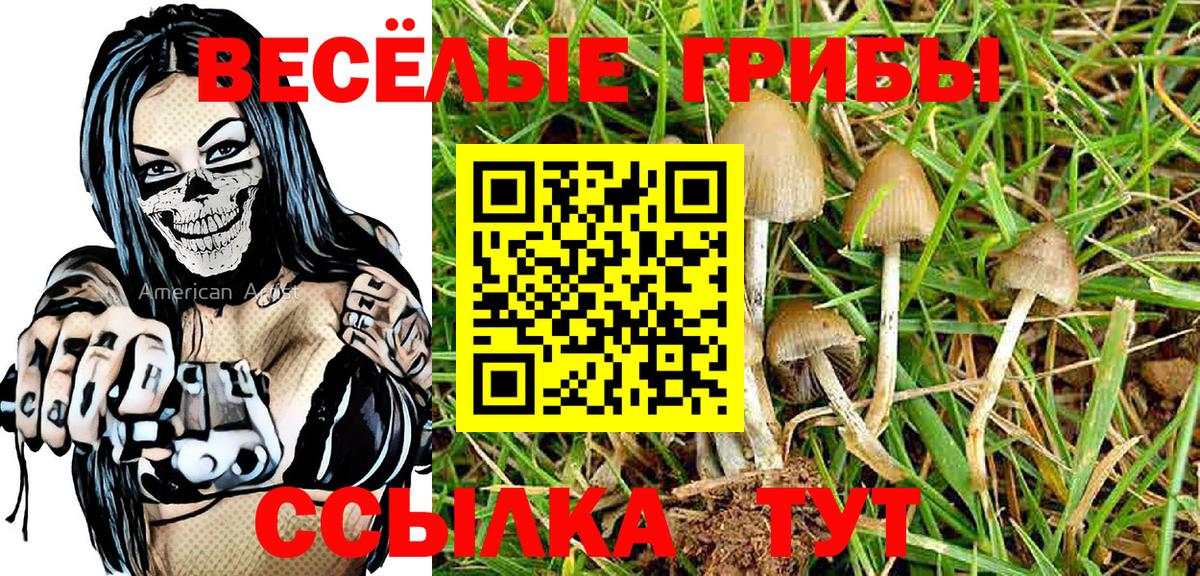 Псилоцибиновые грибы GOLDEN TEACHER Кинель